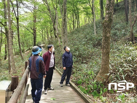 [NSP PHOTO]진안군, 상반기 숲 가꾸기 사업 완료