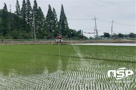 [NSP PHOTO]군산시, 장마철 농작물 병해충 방제 및 습해 예방 당부