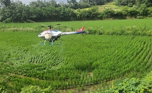 [NSP PHOTO]공주시, 농업용 무인헬기 이용 항공방제 실시