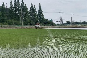 [NSP PHOTO]군산시, 장마철 농작물 병해충 방제 및 습해 예방 당부