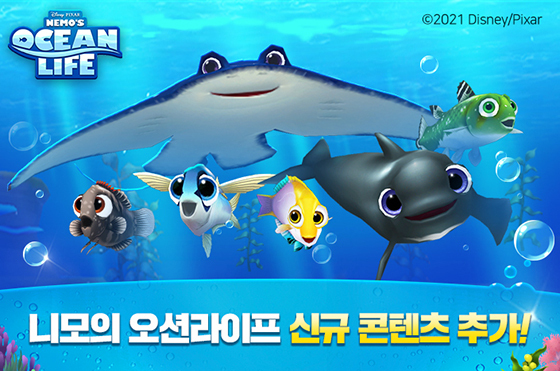 NSP통신- (선데이토즈)