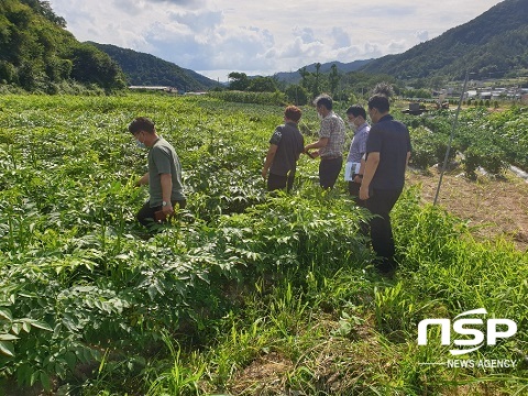 [NSP PHOTO]김창열 진안부군수, 산림소득사업 현장 방문