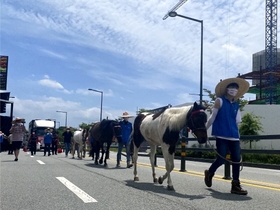 [NSP PHOTO]관중 없는 경마, 붕괴되는 말산업…흔들리는 축산발전기금