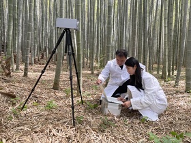 [NSP PHOTO]담양군, 한국판 뉴딜 제2의 대나무 신산업 이끈다