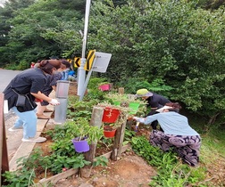 [NSP PHOTO]순천시 왕조1동 희망누리봉사단, 화사한 거리 조성에 구슬땀