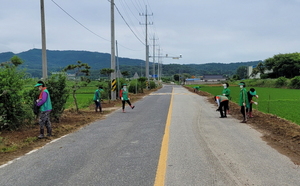 [NSP PHOTO]의성군 구천면 새마을부녀회, 제초작업 및 환경정화 활동 펼쳐