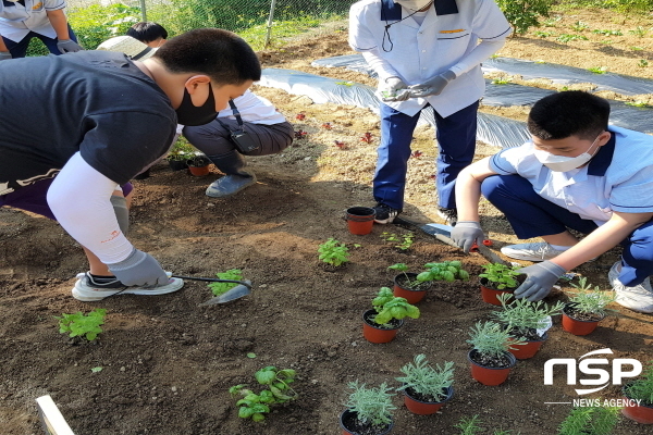 NSP통신-경상북도교육청은 학생들에게 농업의 중요성을 알리고, 청소년기의 인성함양과 정서순화 도모를 위해 학교텃밭 활동 프로그램을 운영한다. (경상북도교육청)