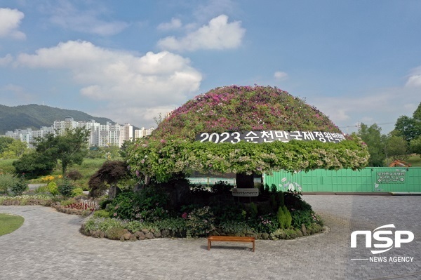 NSP통신-순천만국가정원 아바타의 숲 (순천시)