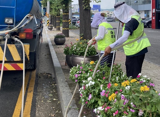 NSP통신-▲아산시가 폭염으로 인한 시내권 수목 피해를 막기 위해 총력대응에 나섰다. (아산시)