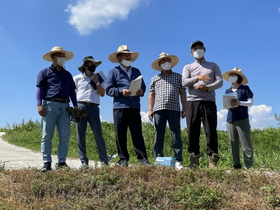 [NSP PHOTO]영암군, 침수상습지역 벼 흰잎마름병 예방 총력