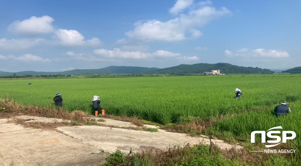 NSP통신-의성군농업기술센터가 5개반 42명으로 구성된 예찰반을 편성해 농작물 피해예방에 적극 나서고 있다. (의성군)