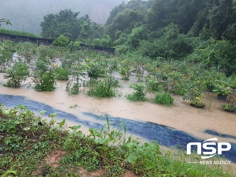 [NSP PHOTO]진안군, 가을감자 농작물 재해보험 가입 권고