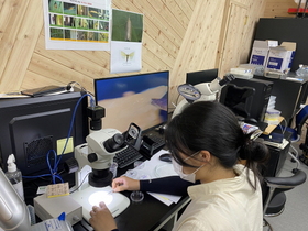 [NSP PHOTO]함평군, 꽃눈분화 현미경 검사 서비스 실시
