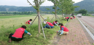 [NSP PHOTO]봉화군여성단체협의회, 환경정화 봉사활동 앞장