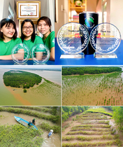 [NSP PHOTO]SK이노베이션 맹그로브 숲 복원사업 베트남 짜빈성 정부로부터 공로상 수상
