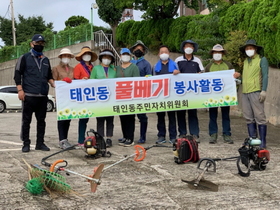 [NSP PHOTO]광양 태인동주민자치위원회, 도로변 풀베기 봉사