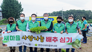 [NSP PHOTO]영천시새마을부녀회, 사랑의 김장 담가주기 용 배추 모종 심어