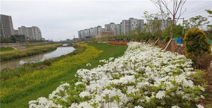 [NSP PHOTO]군산시, 쾌적하고 안전한 녹색 환경도시 조성 박차