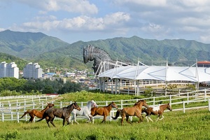 [NSP PHOTO]장수군, 말 산업특구 조성 순항