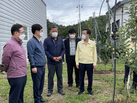 [NSP PHOTO]허태웅 농촌진흥청장 영천시 영농현장 방문