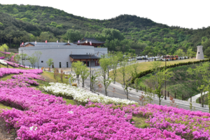 [NSP PHOTO]경주 화랑마을,2022년 학교단체 수련활동사전예약 접수