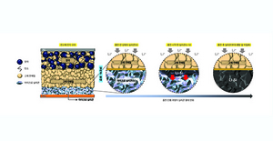 [NSP PHOTO]LG에너지솔루션·UCSD, 상온 구동 장수명 전고체 배터리 개발