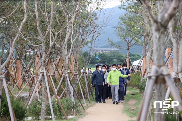 NSP통신-포항시는 28일 남구 대송면 제내리에서 추진하고 있는 미세먼지 차단 도시숲 조성사업 현장점검을 실시했다. (포항시)