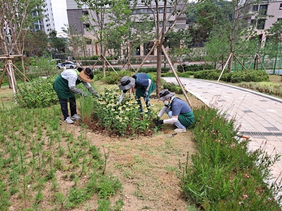 NSP통신-양천가드너 활동 모습 (양천구)