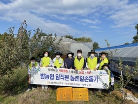 [NSP PHOTO]농협 군산시지부, 수확기 농촌일손돕기 구슬땀