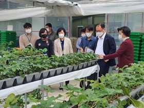 [NSP PHOTO]곡성군, 농업 주요 사업현장 찾아 현장 목소리 경청