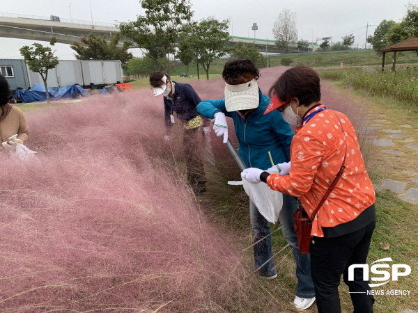 NSP통신-경북도민행복대학 구미캠퍼스는 14일 학생 45명이 참여한 가운데 낙동강체육공원 주변에서 자연정화활동을 실시했다. (구미시)