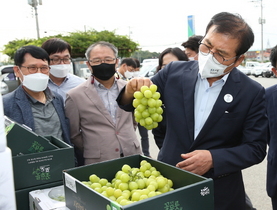 [NSP PHOTO]함평군, 함평 샤인머스켓 홍콩 첫 수출길 올라