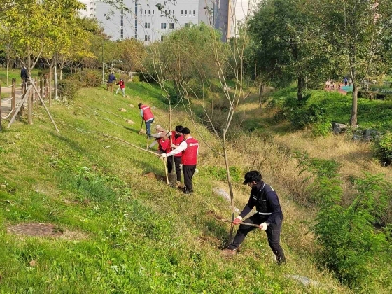 NSP통신-21일 생태조경협회 회원과 수원시 관계자가 물향기공원에 버드나무를 심고 있다. (수원시)