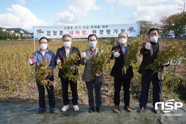 NSP통신-경상북도농업기술원은 22일 안동 풍산읍 안교리에서 자체 육성한 진한 속청 검정콩 새바람 신품종의 조기보급을 위한 현장평가회를 개최했다고 밝혔다. (경상북도)