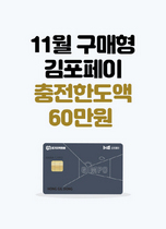 [NSP PHOTO]김포시, 코리아세일페스타 동참…김포페이 충전한도 최대 60만원