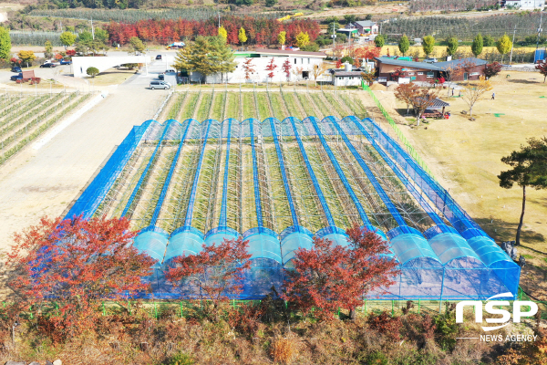 NSP통신-청송군은 농림축산식품부에서 주관하는 2022년 종자산업기반구축사업에 선정돼 2022~2023년(2년간) 총사업비 31억5천만원(국비50%, 군비50%)을 확보했다. (청송군)