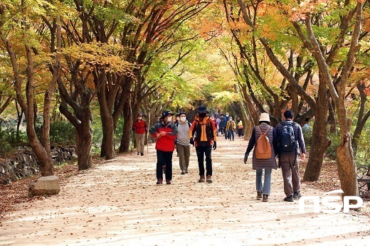 [NSP PHOTO][가볼까]울긋불긋 단풍 절정 맞은 정읍 내장산...7~12일 절정 예상