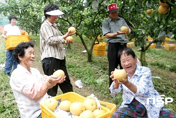 NSP통신- (나주시)