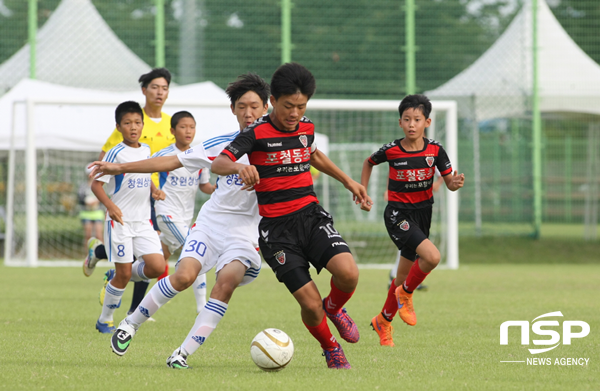 NSP통신-경주시 지난 화랑대기 전국유소년축구대회 모습. (경주시)