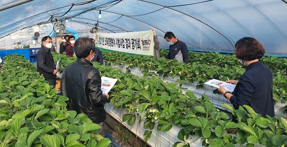 NSP통신-▲공주시가 지역맞춤형 소득작목 시범사업 현장평가회를 실시했다. (공주시)