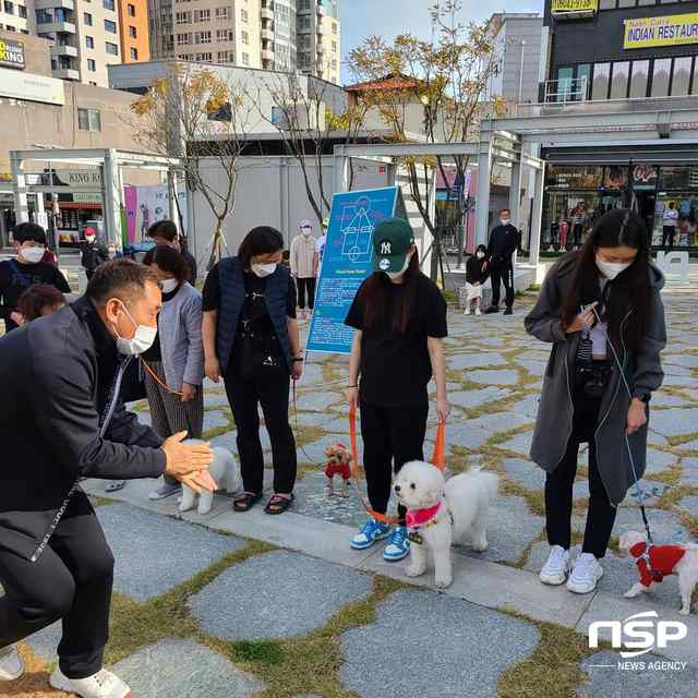 NSP통신-이웅종 교수(왼쪽)가 댕댕이스쿨데이 현장 교육을 하고 있다. (김종식 기자)