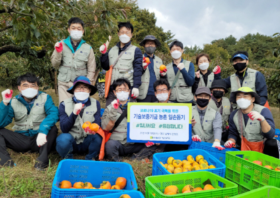 NSP통신-기술보증기금 직원들이 경남 김해에서 일손이 부족한 과수농가를 찾아 감 따기 봉사활동을 펼치고 있다. (기술보증기금)