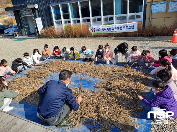 NSP통신-구미시농업기술센터는 관내 7세 유치원생을 대상으로 지난 16일 산호야영농조합법인에서 찾아가는 농촌체험 프로그램을 실시했다. (구미시)