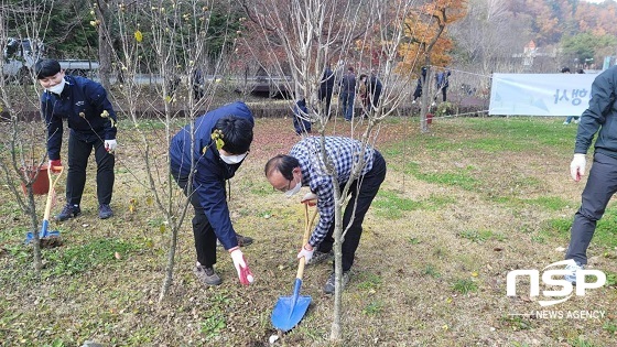 [NSP PHOTO]완주군, 무궁화테마식물원서 숲 가꾸기 행사