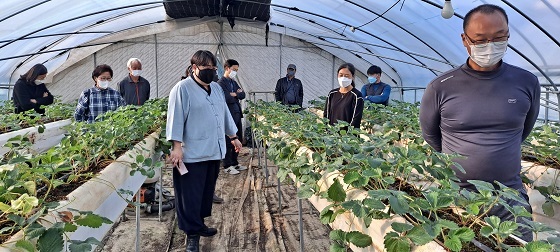 NSP통신-▲논산시가 신규 강소농 육성을 위한 농업경영체를 신청접수한다. (논산시)