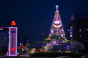 [NSP PHOTO]여수시청 앞 광장, 희망과 위로의 크리스마스트리 점등
