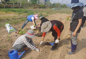 [NSP PHOTO]홍성군, 청년농업인 육성 우수기관 선정