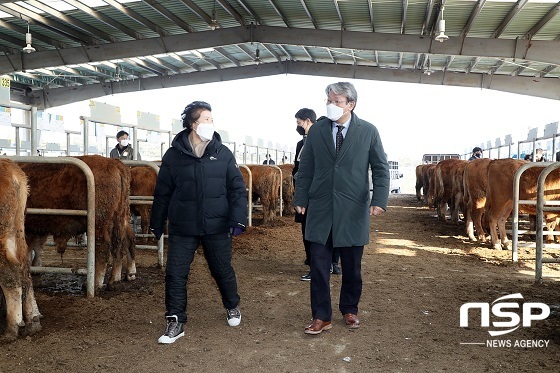 [NSP PHOTO]유진섭 정읍시장, 임인년 새해 첫 한우 경매 가축시장 방문