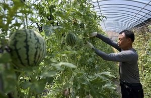 [NSP PHOTO]장수군, 농업기술시범사업 신청·접수...45억 투입