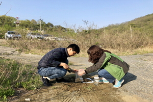 [NSP PHOTO]경북도, 토양환경보전을 위한 오염실태조사 완료